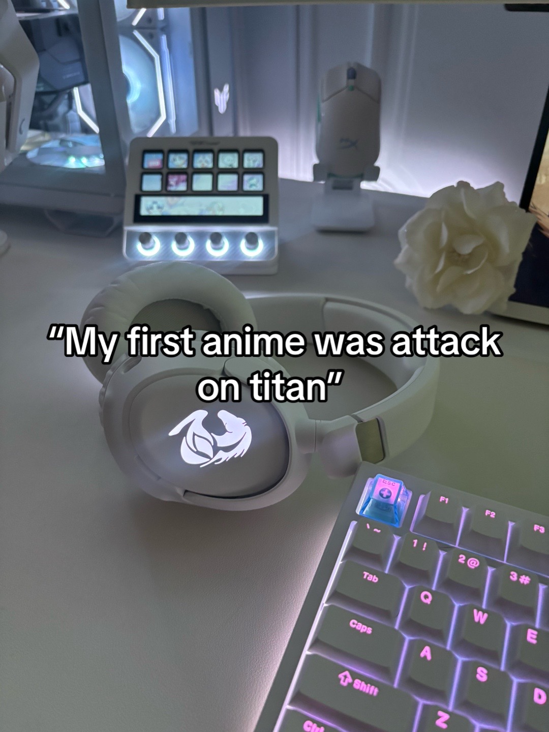 @vee ꨄ