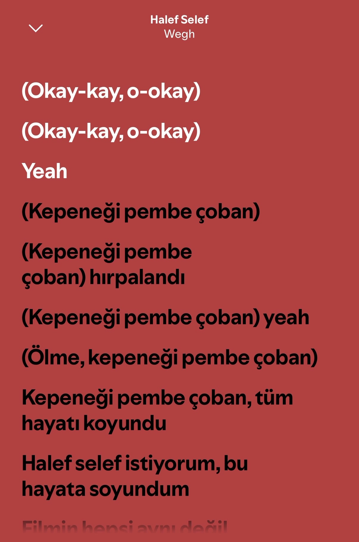 @şarkıs&ouml;zlerim1