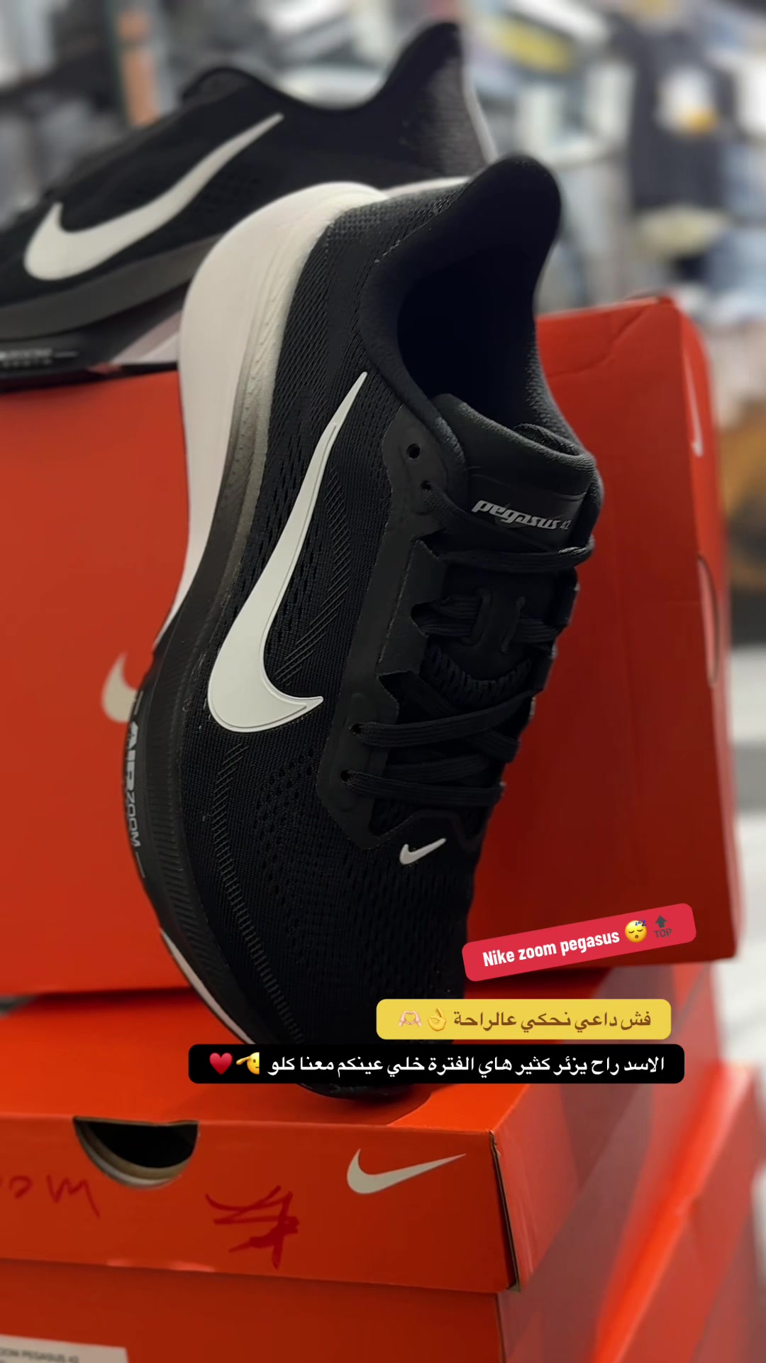 @مودي سبورت