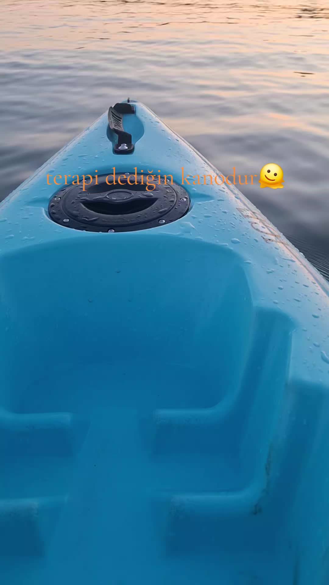@🐶