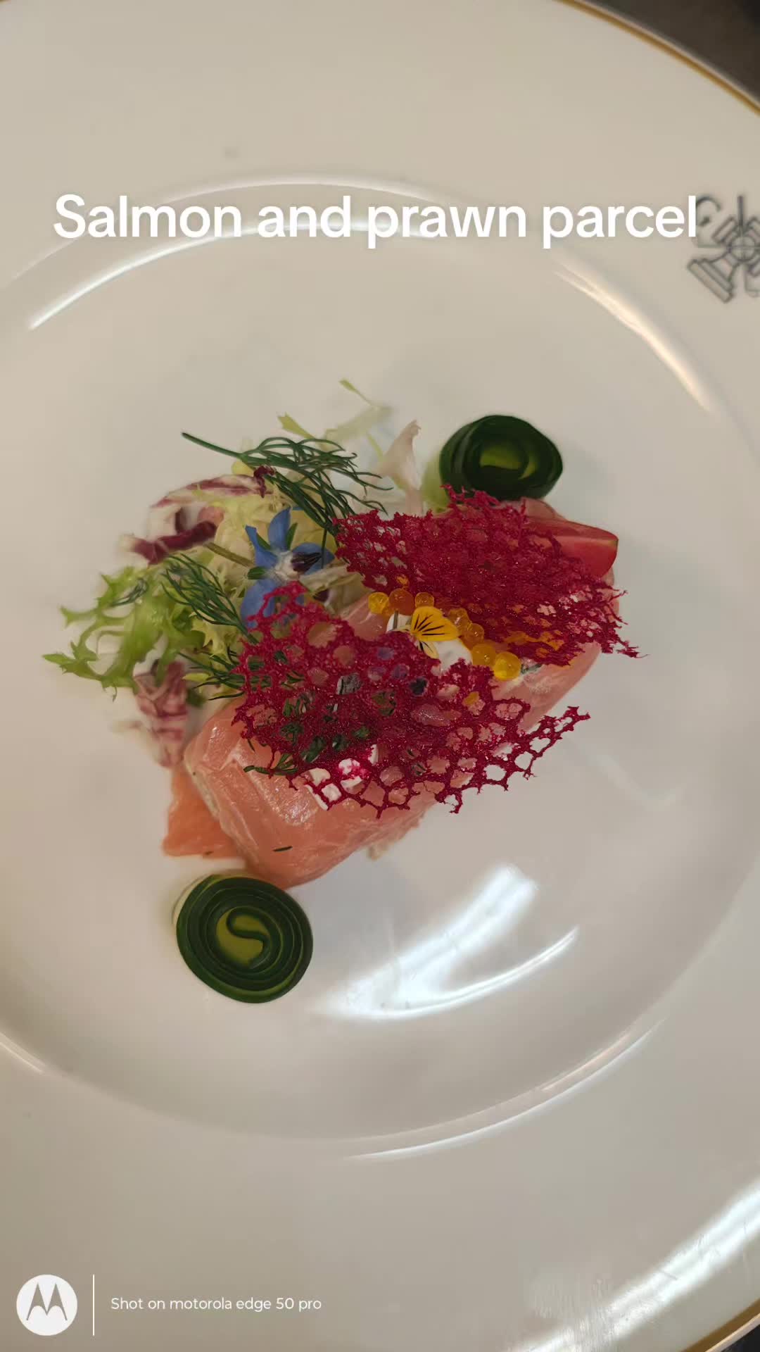 @foodiechef5