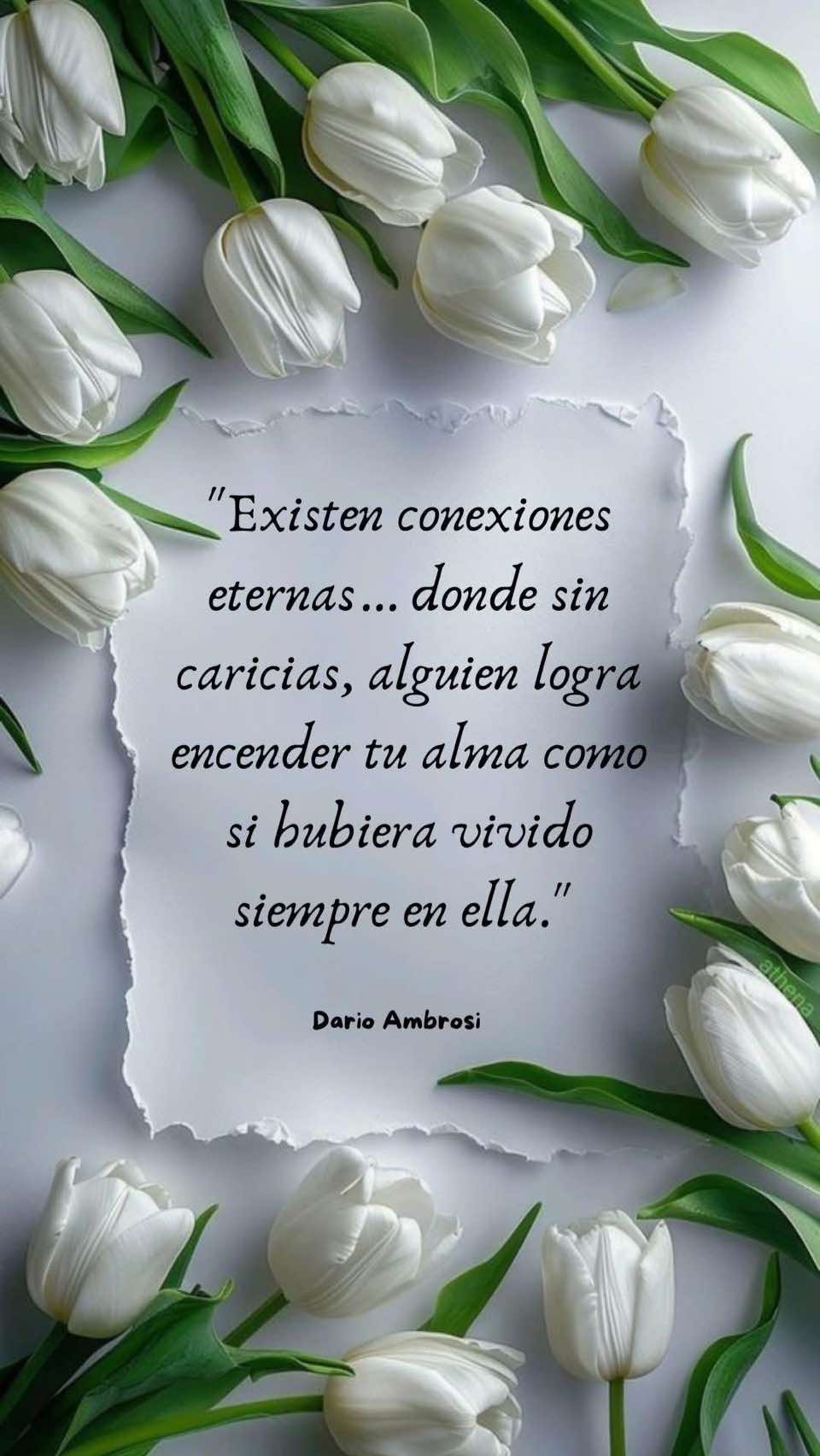 @Gloria Mar&iacute;a