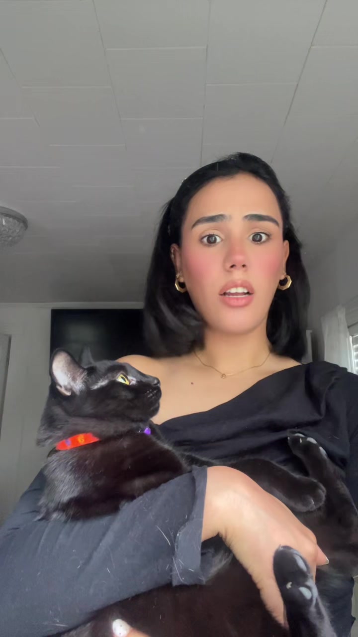 @Chaima🕊️✨