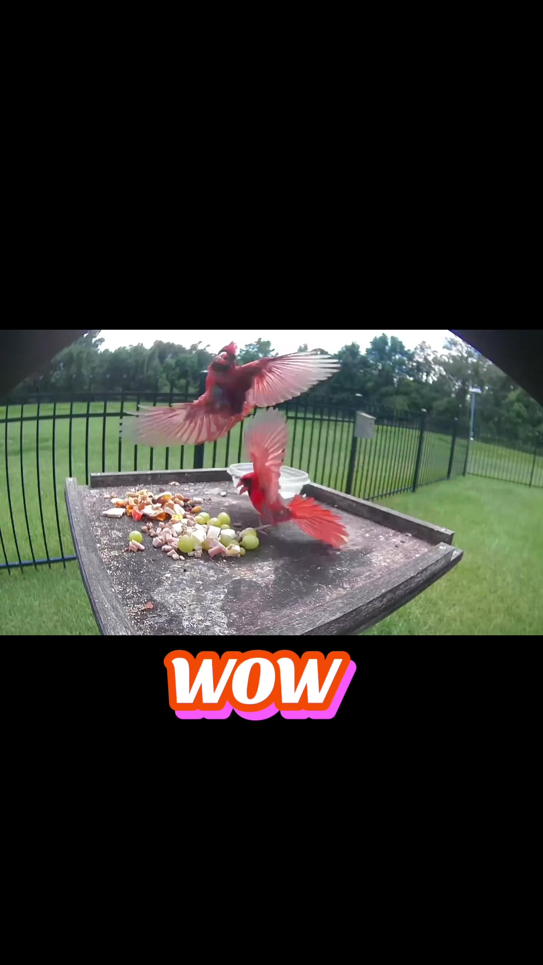 @Buffy_In_Louisiana