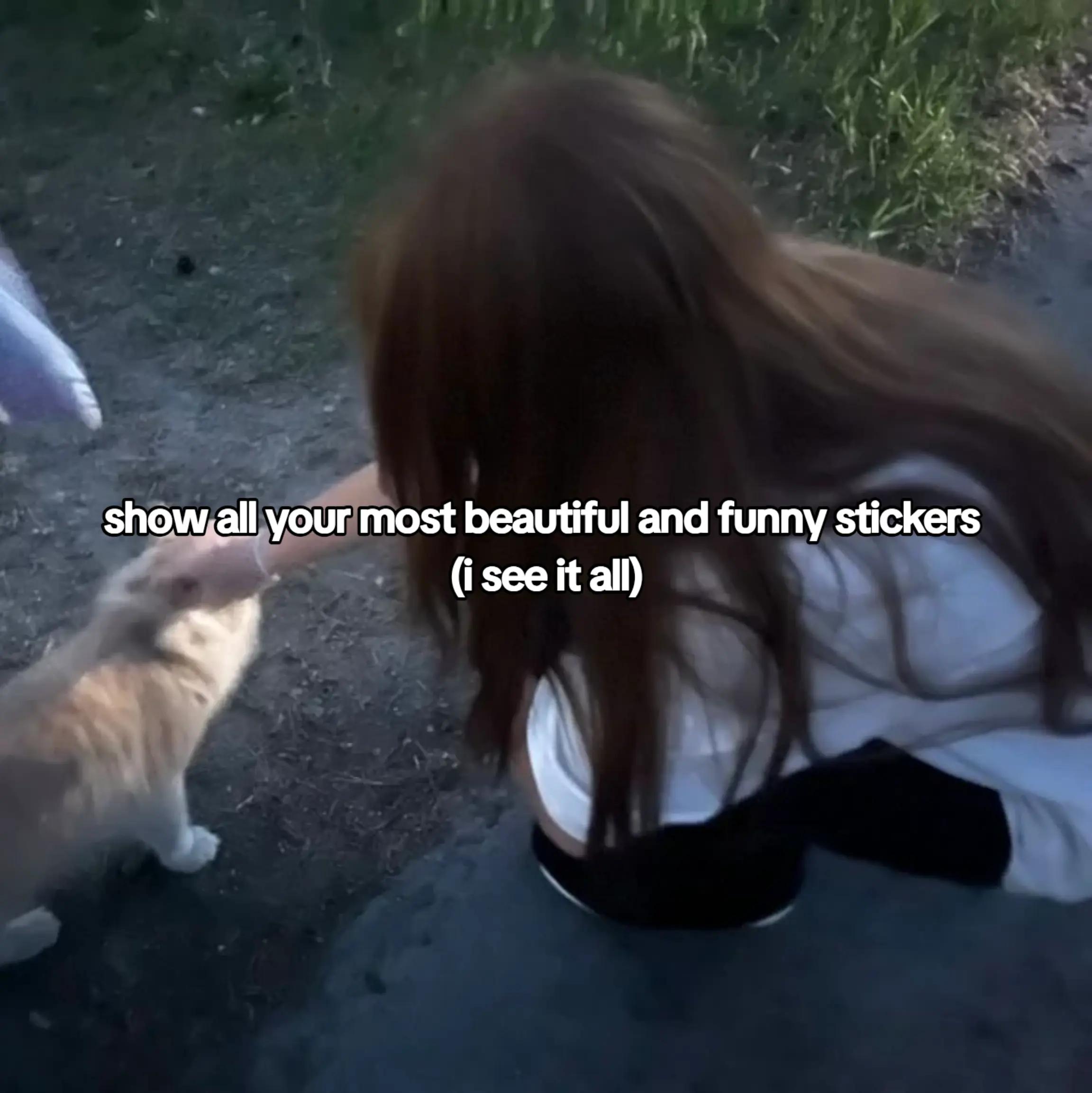 @🎀☆♡~S4R4~☆♡✨️
