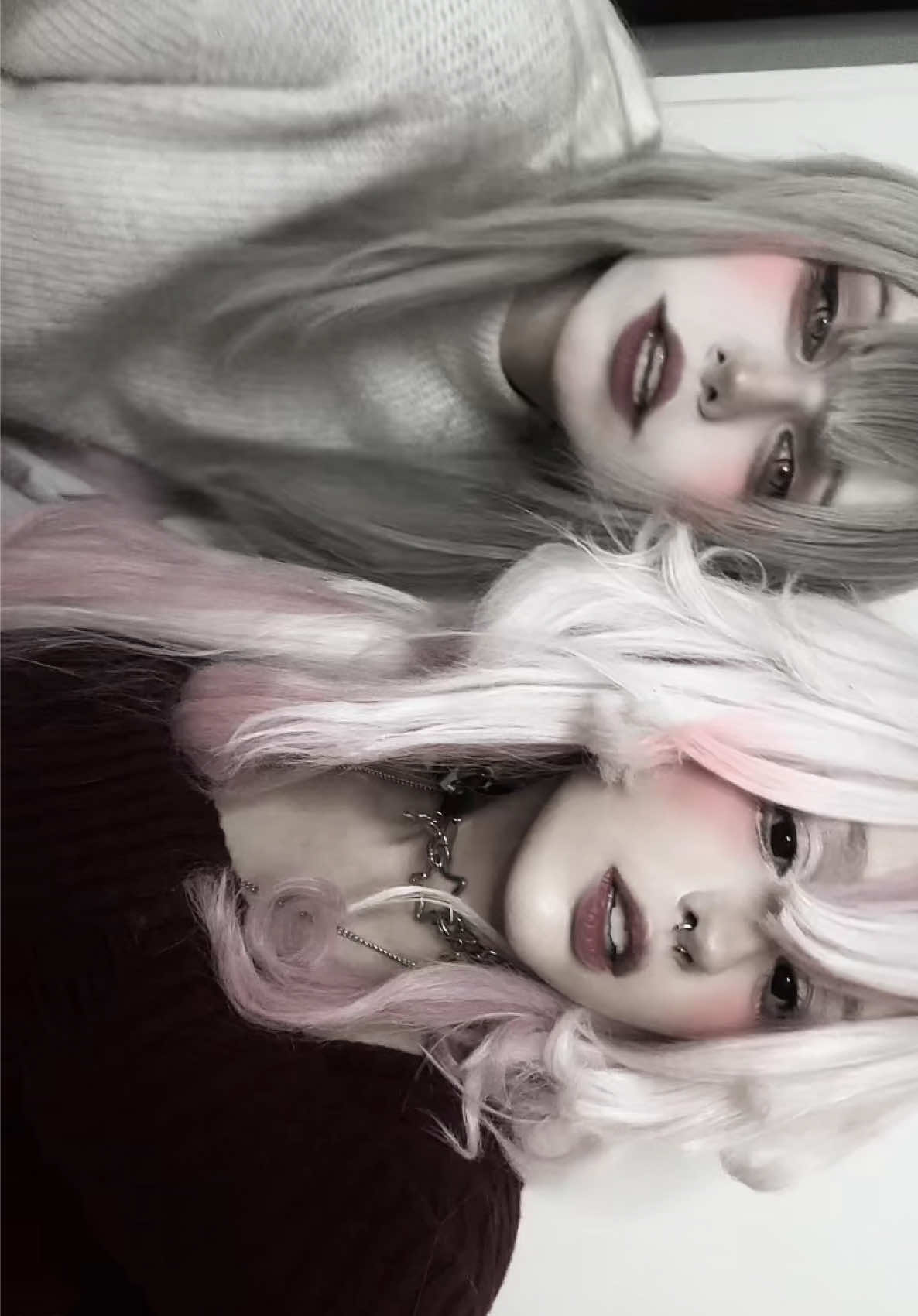 @gekkocos