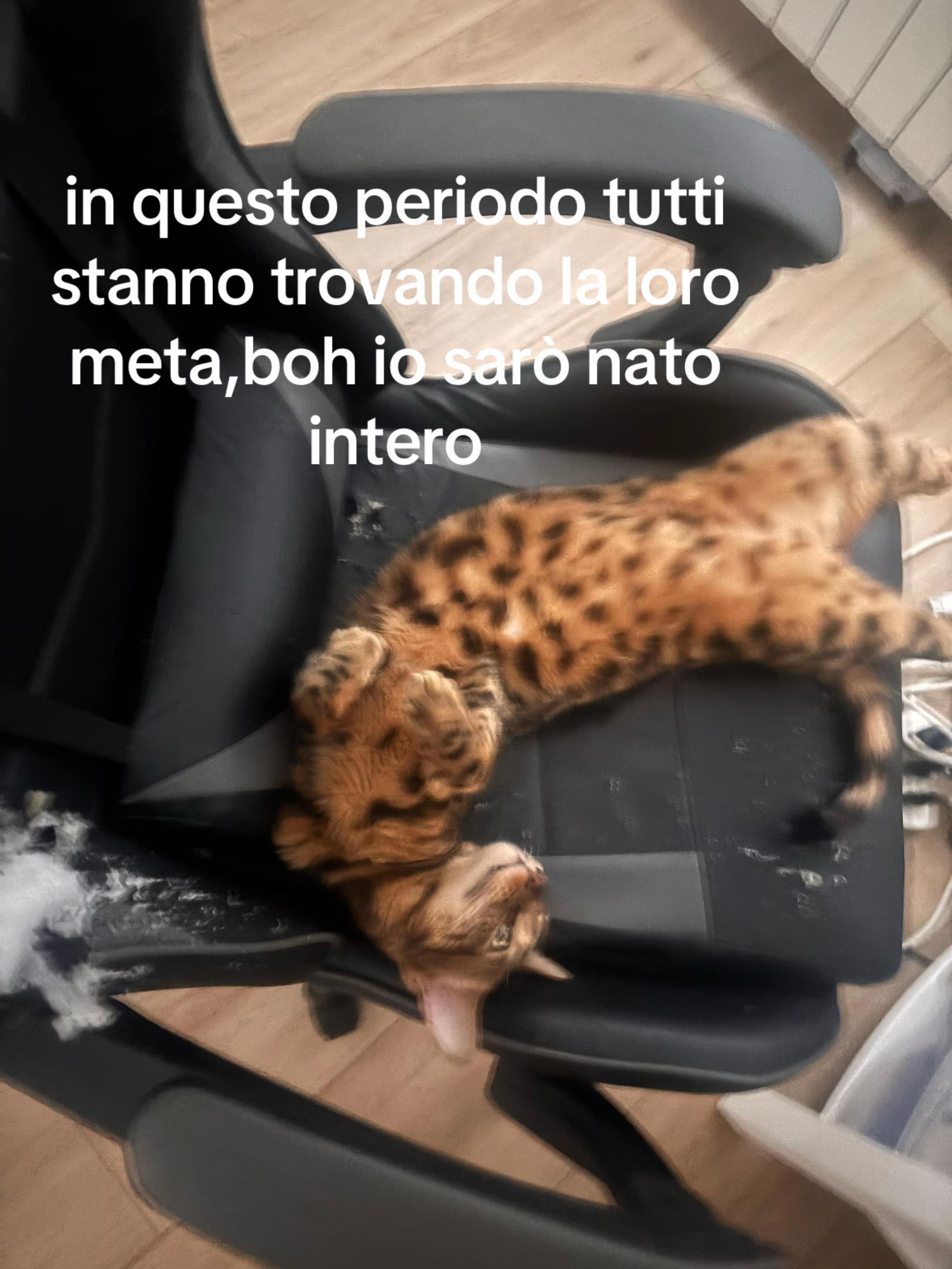 @nat