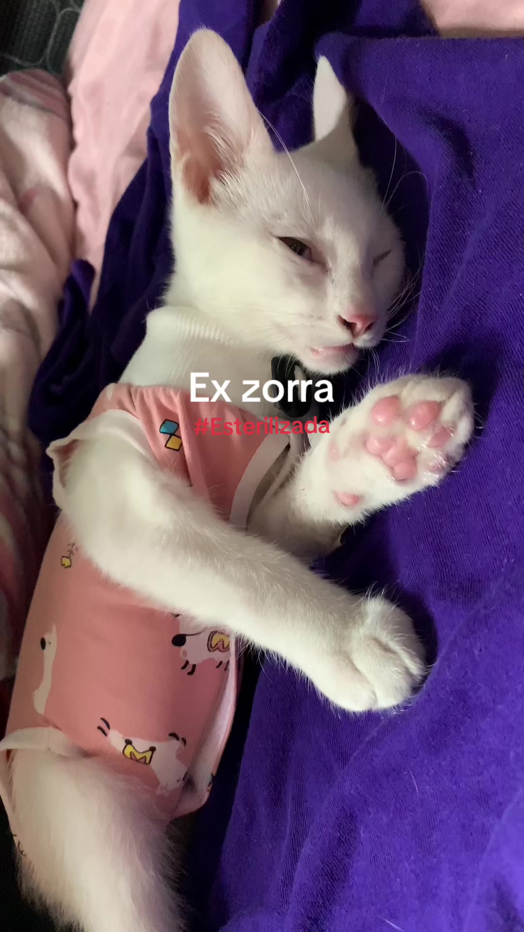 @𝓜ℯ𝓲𝓂𝔂♡