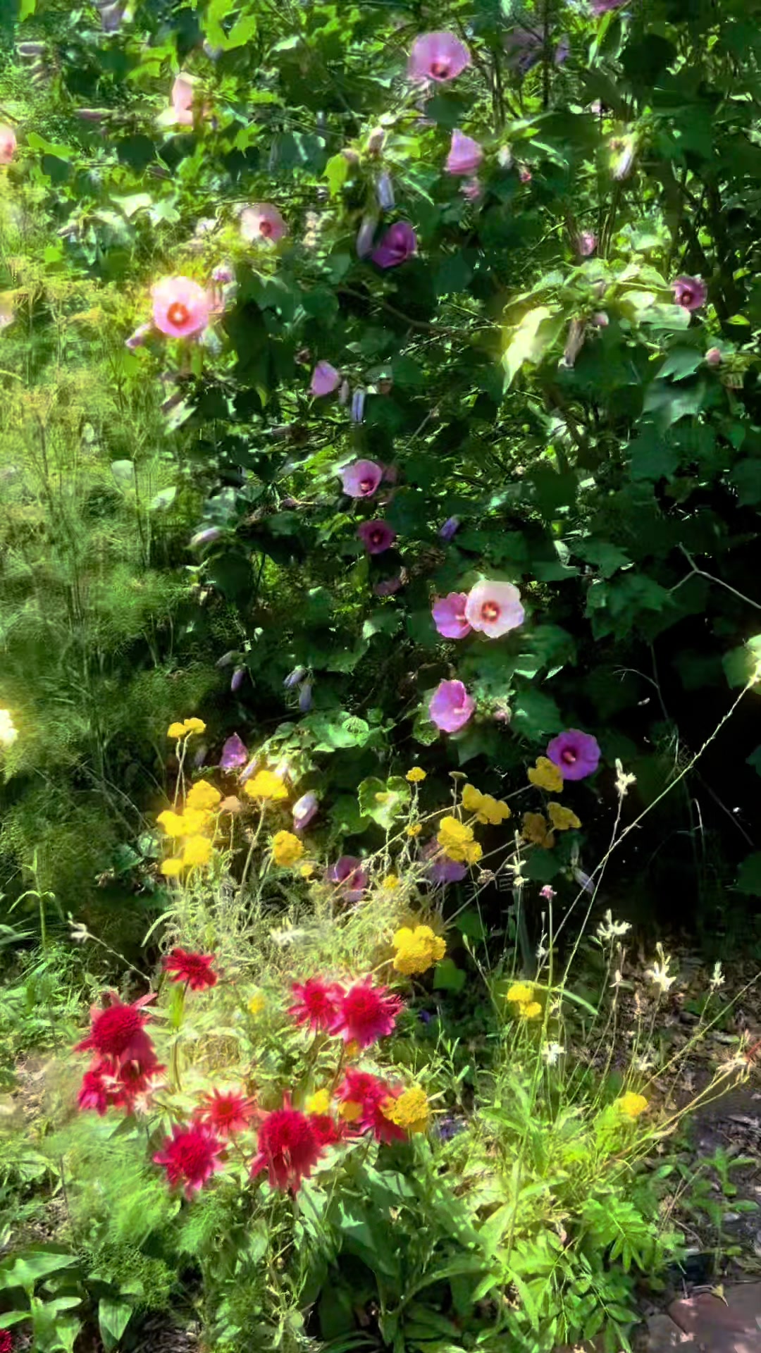 @august🦇