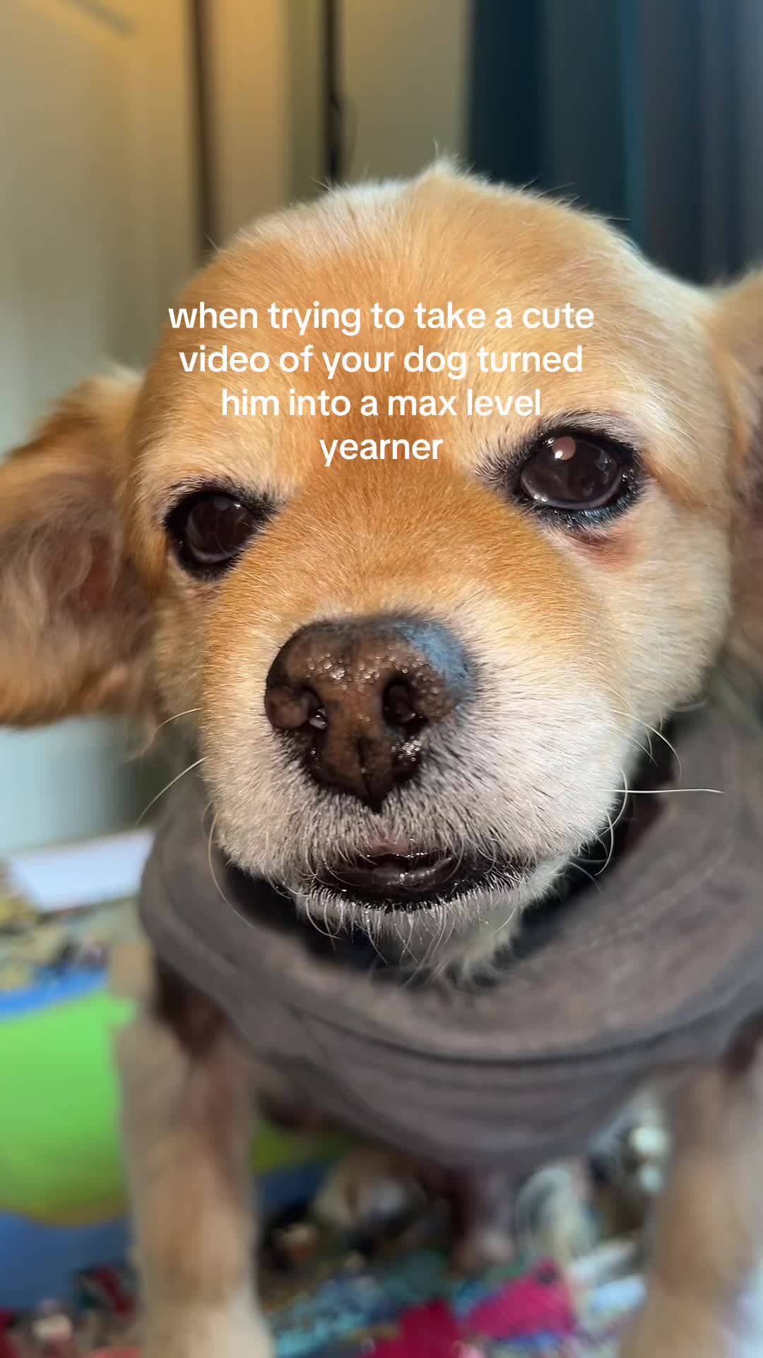@kingpep