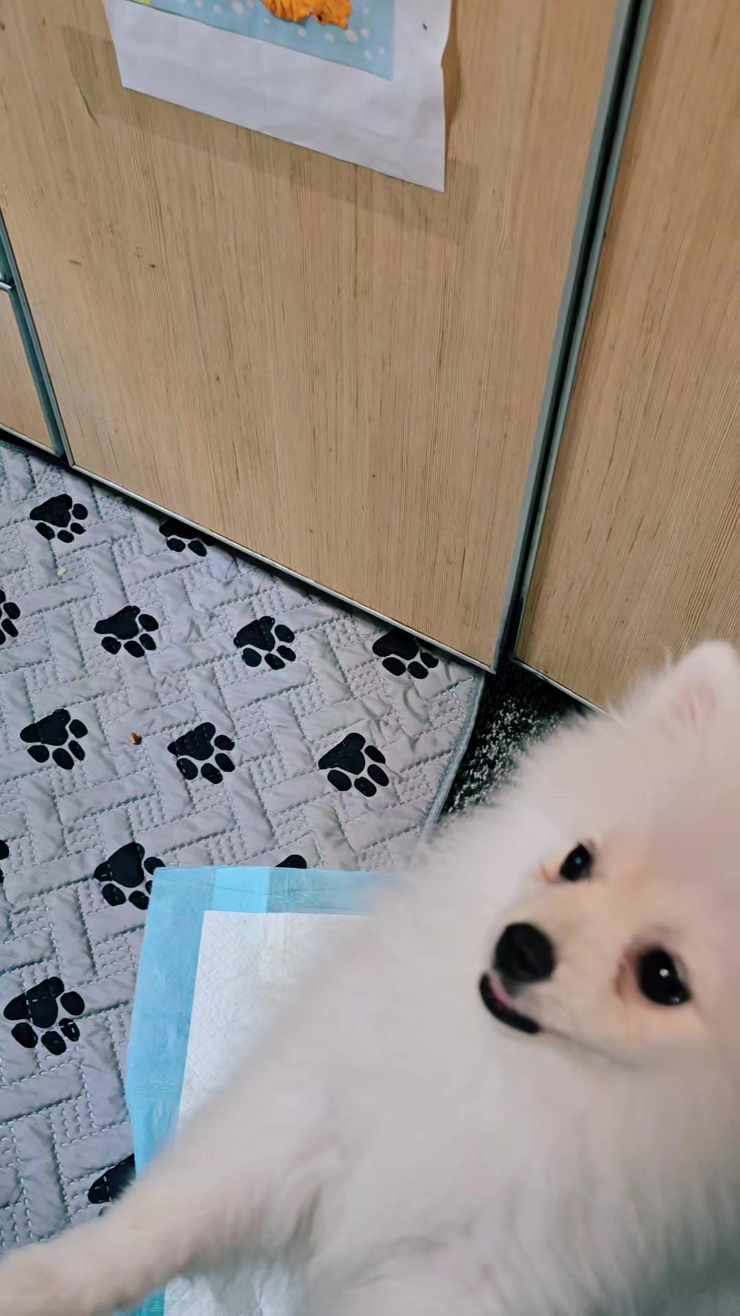 @Миронова Ольга Дима