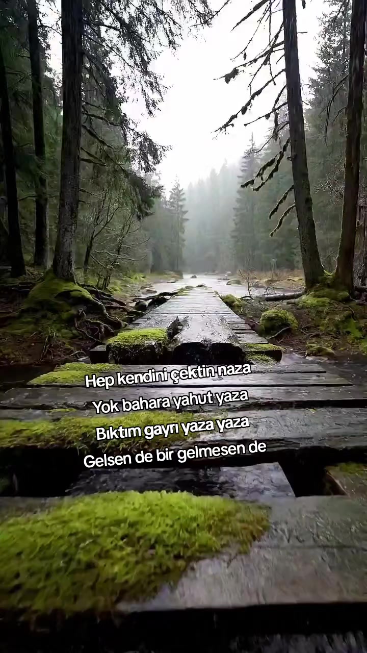 @kyplrdym