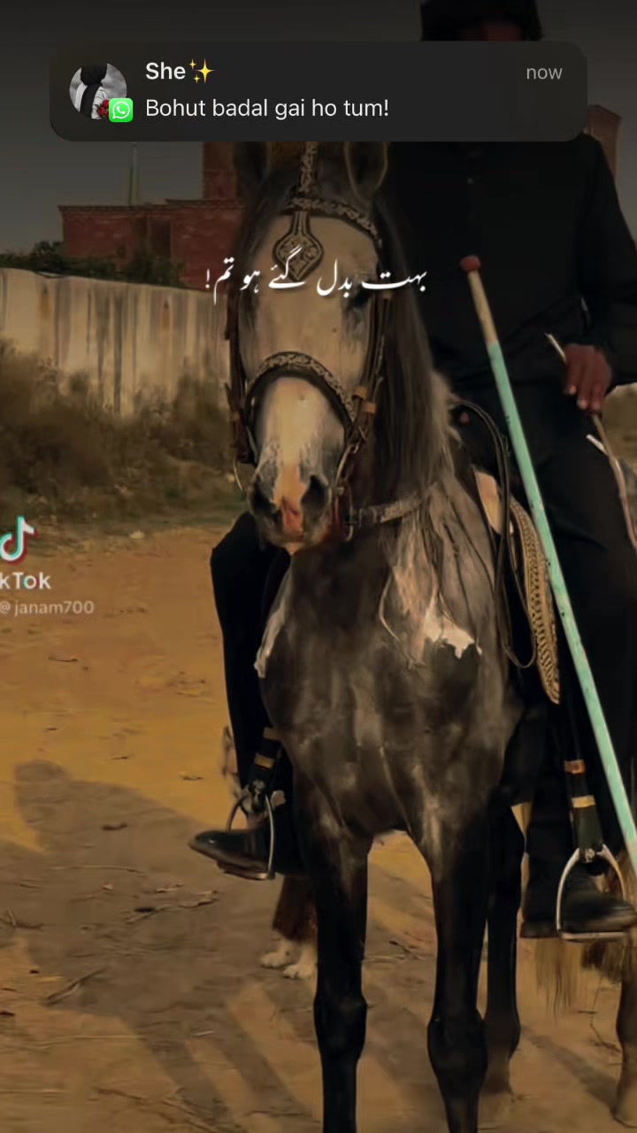 @Afaq gujjar chakora