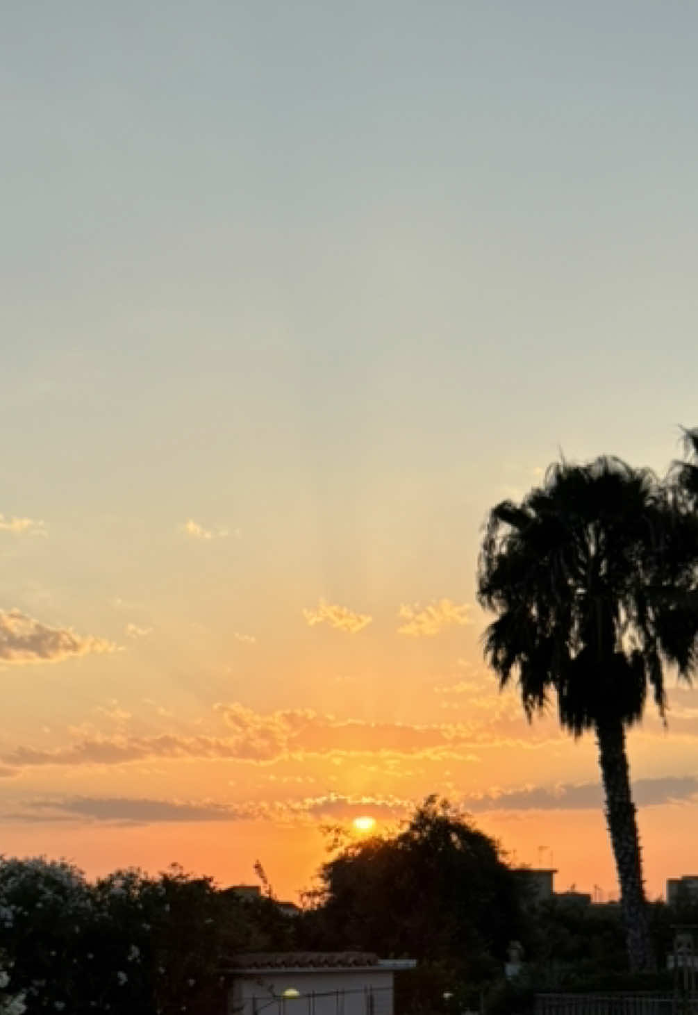 @Chiara Borz&igrave;