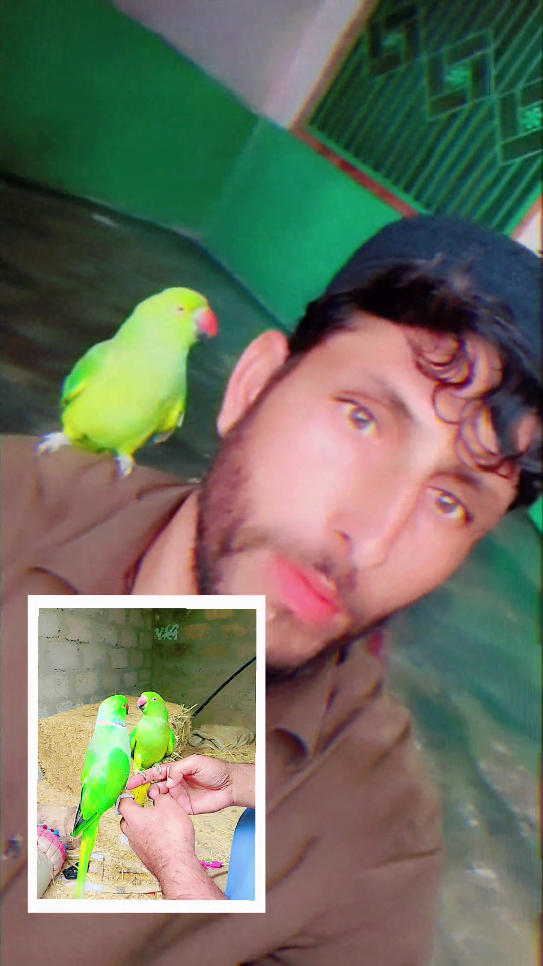 @luqman zaib