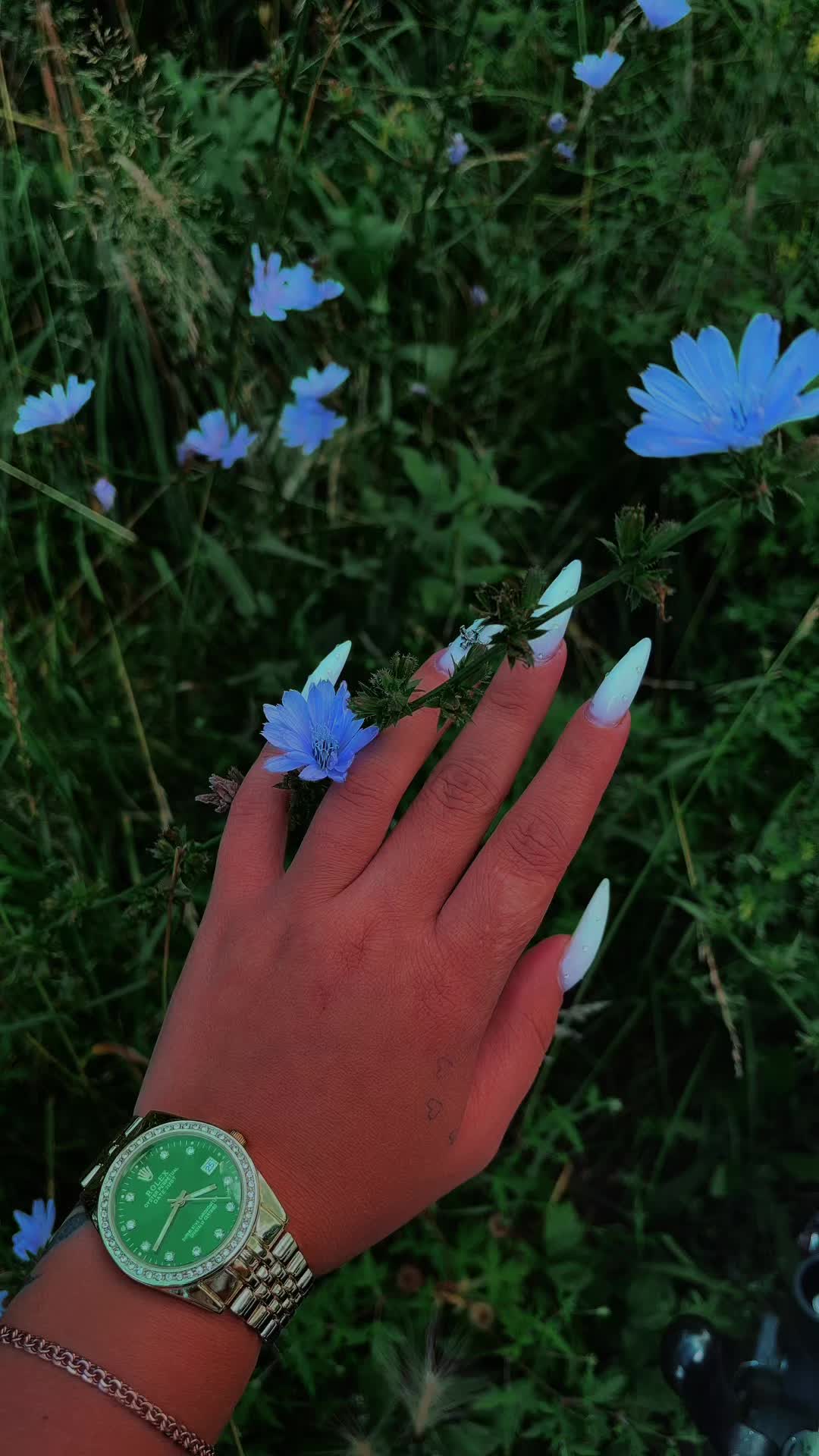 @snezhanaknyazeva