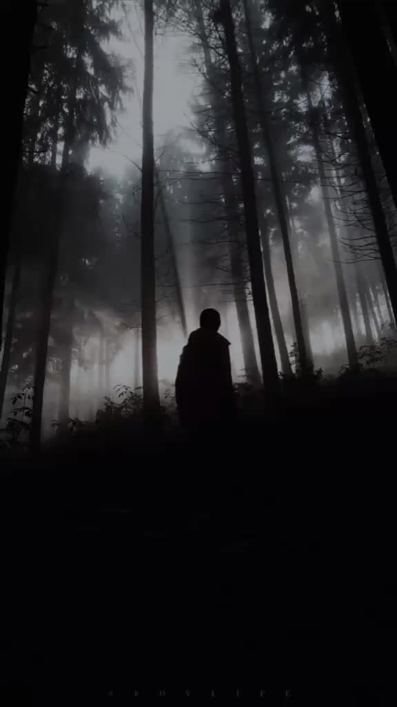 @𝑹𝑨𝑫𝒁𝑰𝒁𝑰5