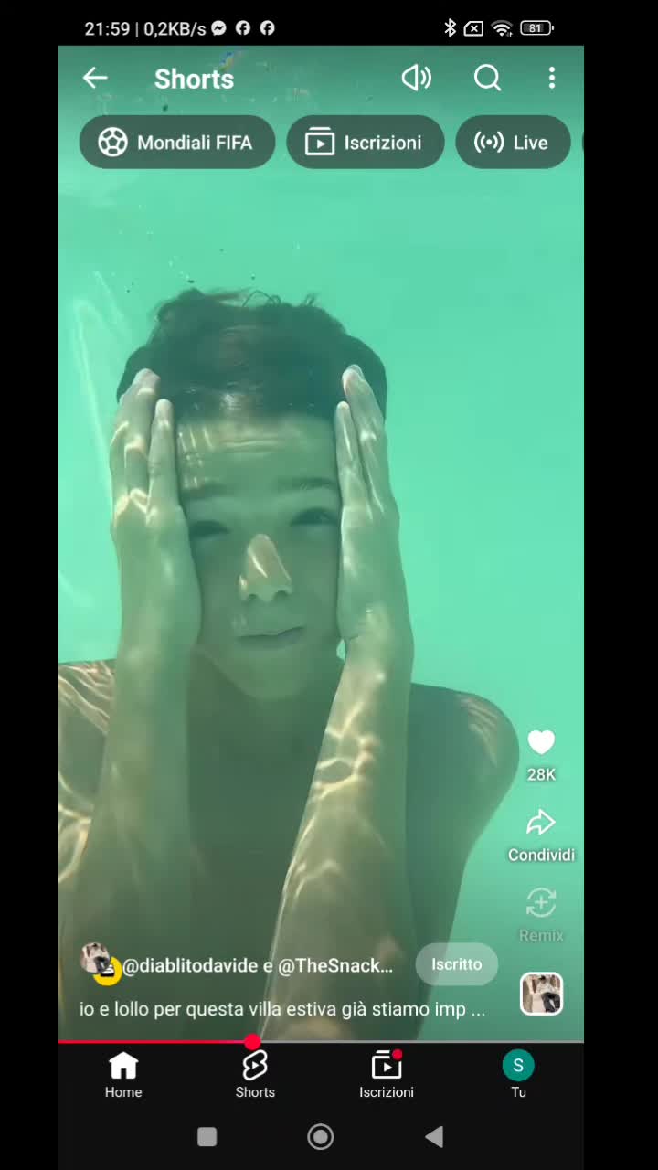 @salvo fan snack club enter4567