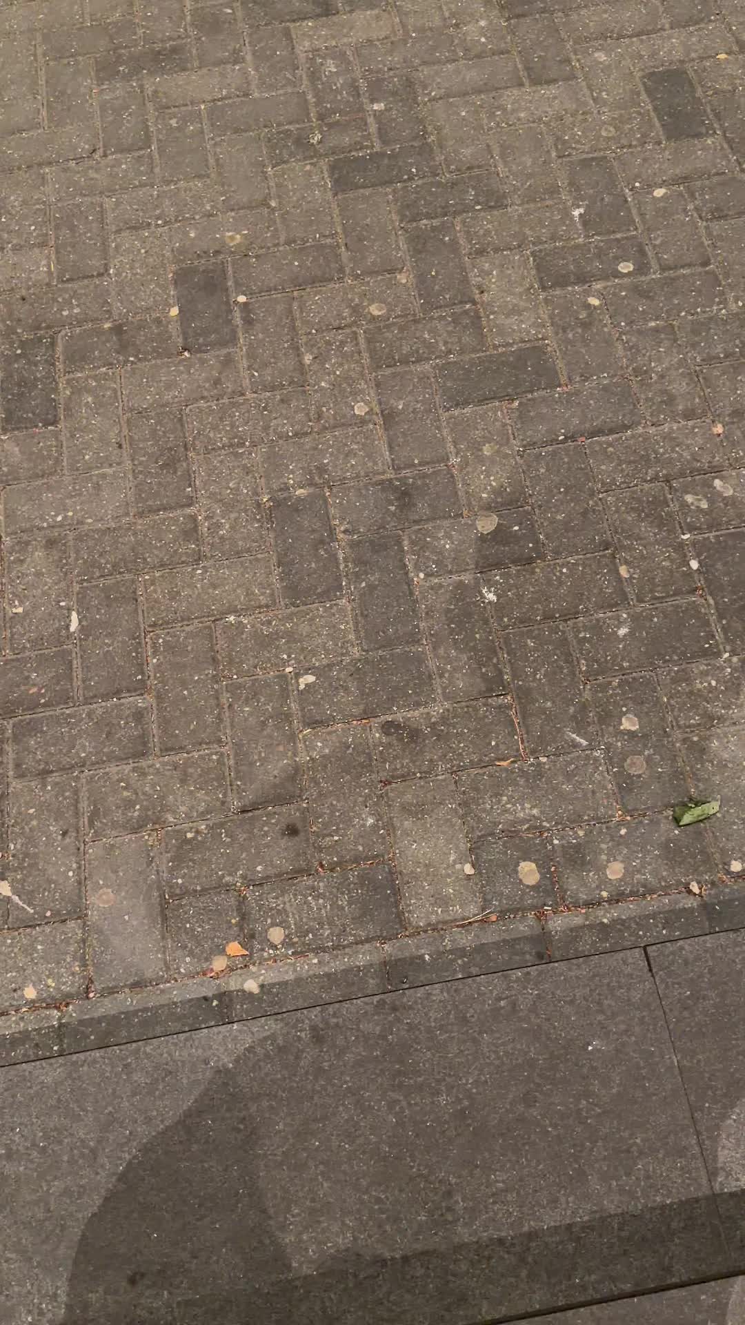 @𝙈𝙄𝙇𝘼𝙉𝙊𝙍𝙀𝙑𝙕