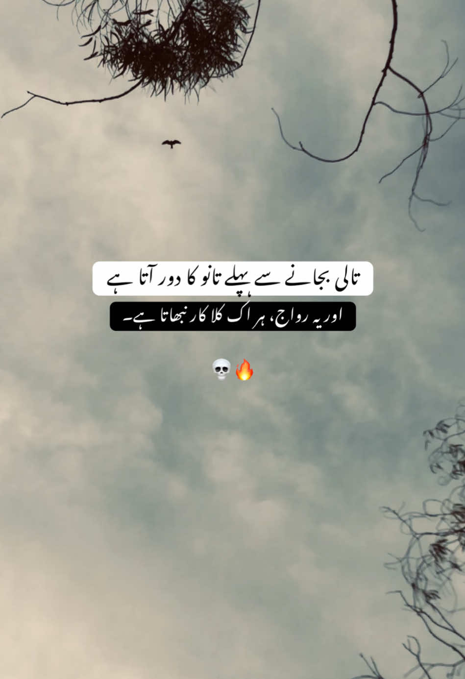 @i_cloud42