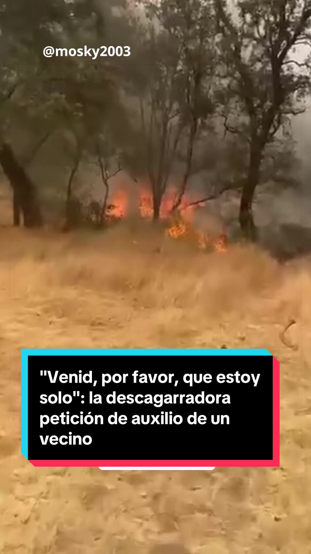 @EL ESPA&Ntilde;OL 🦁