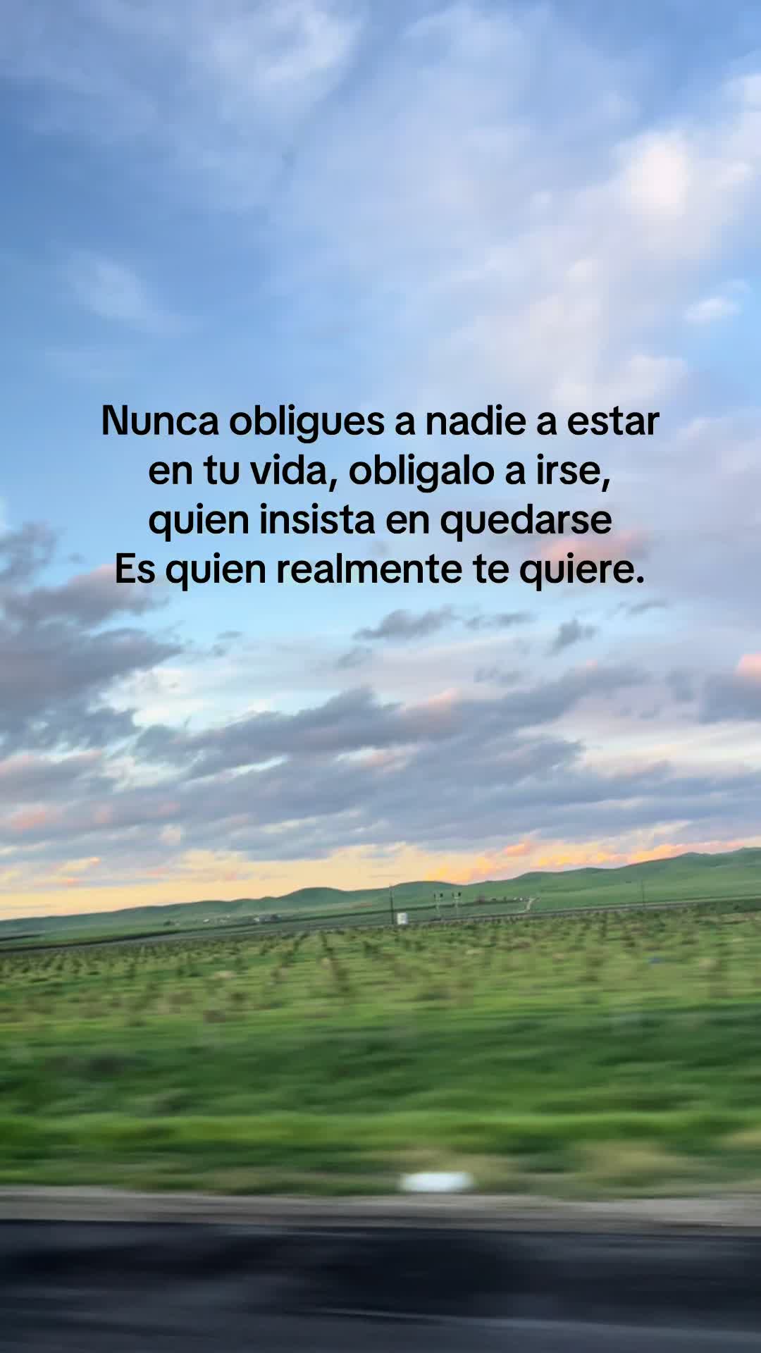 @lafierro_