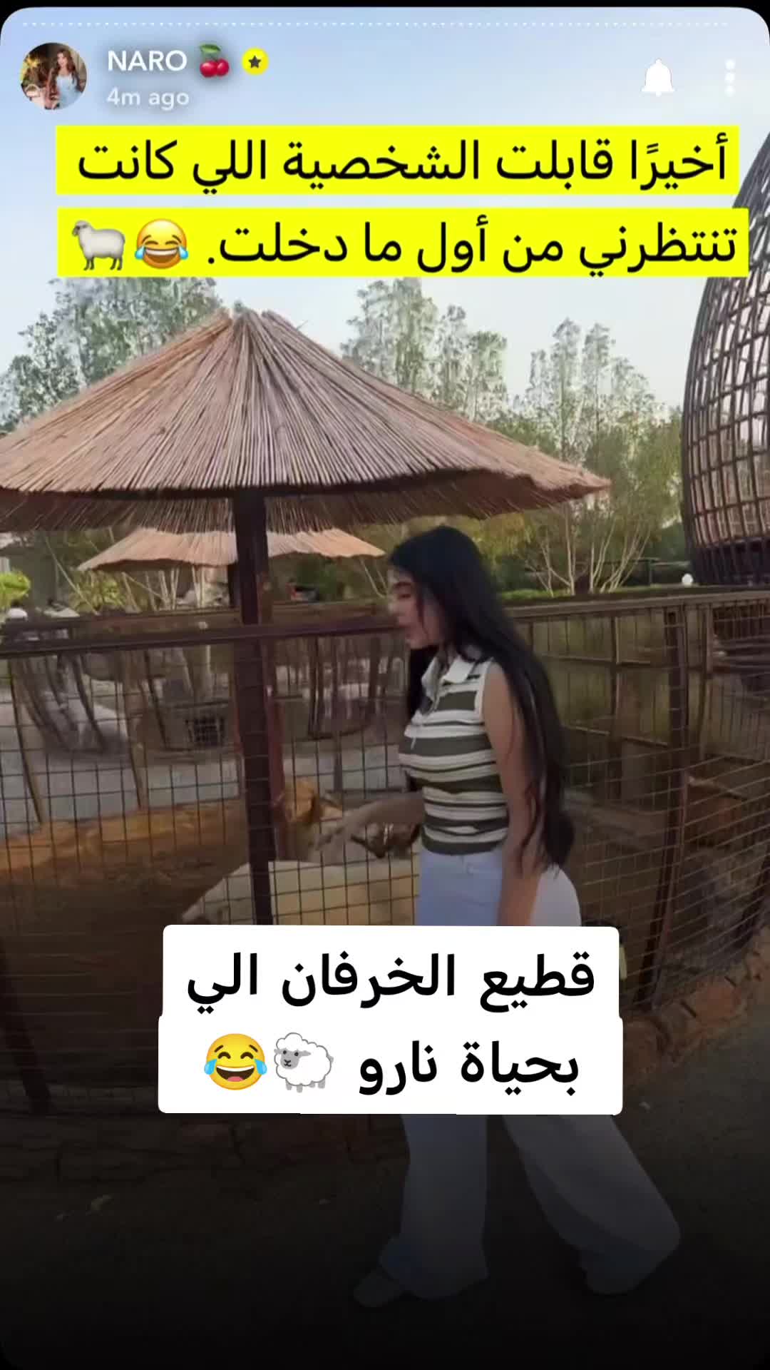 @🐎🐎