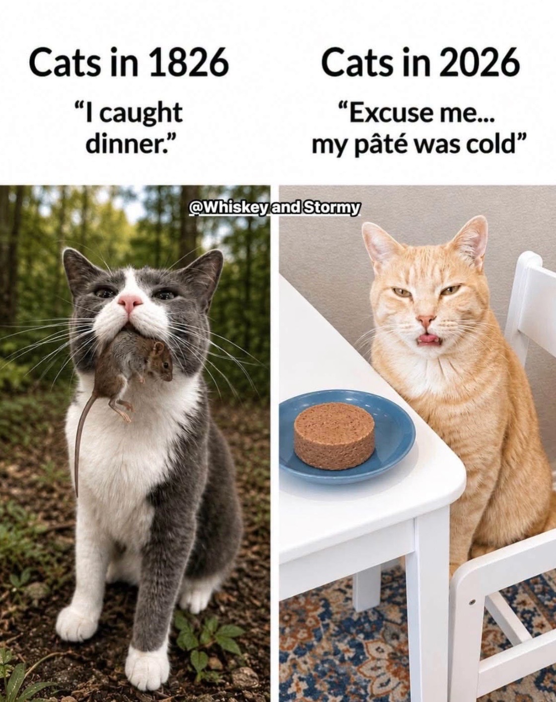 @Bratcats