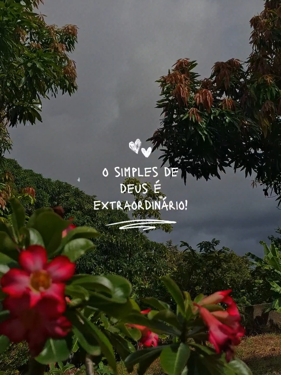 @Marta Oliveira