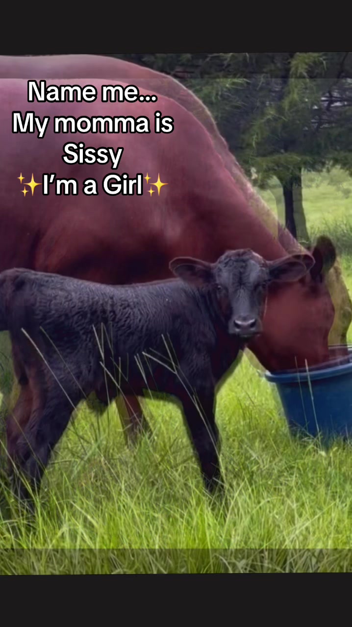 @Georgia Farm Girl
