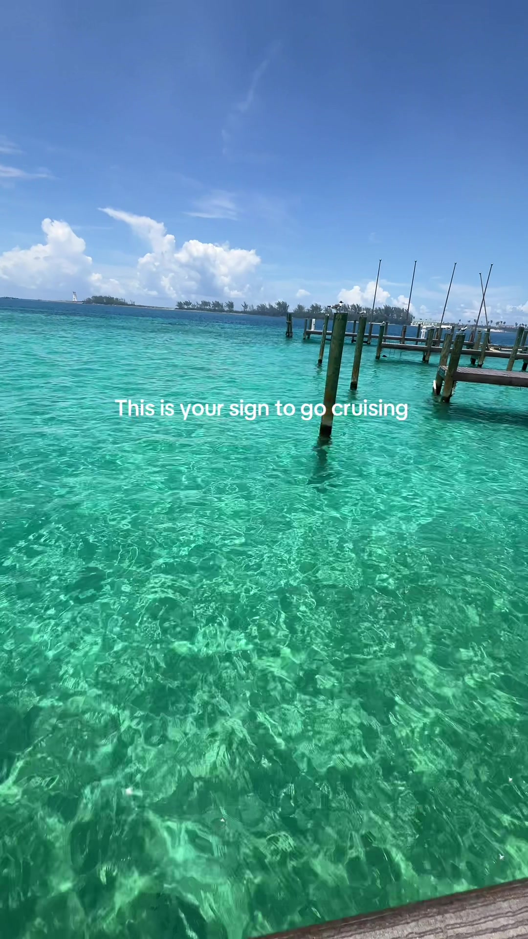 @Lia Angulo | SWFL Realtor&reg;️