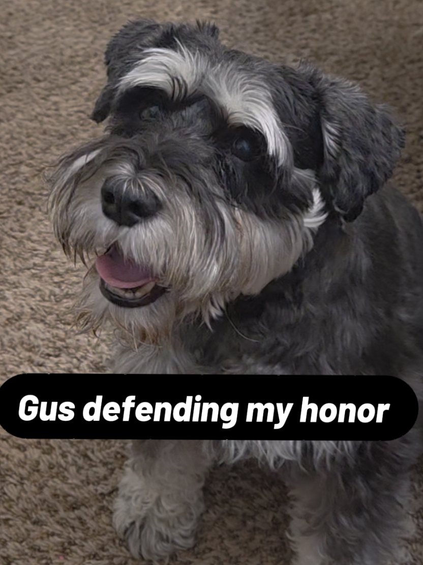@Grumpy Gus