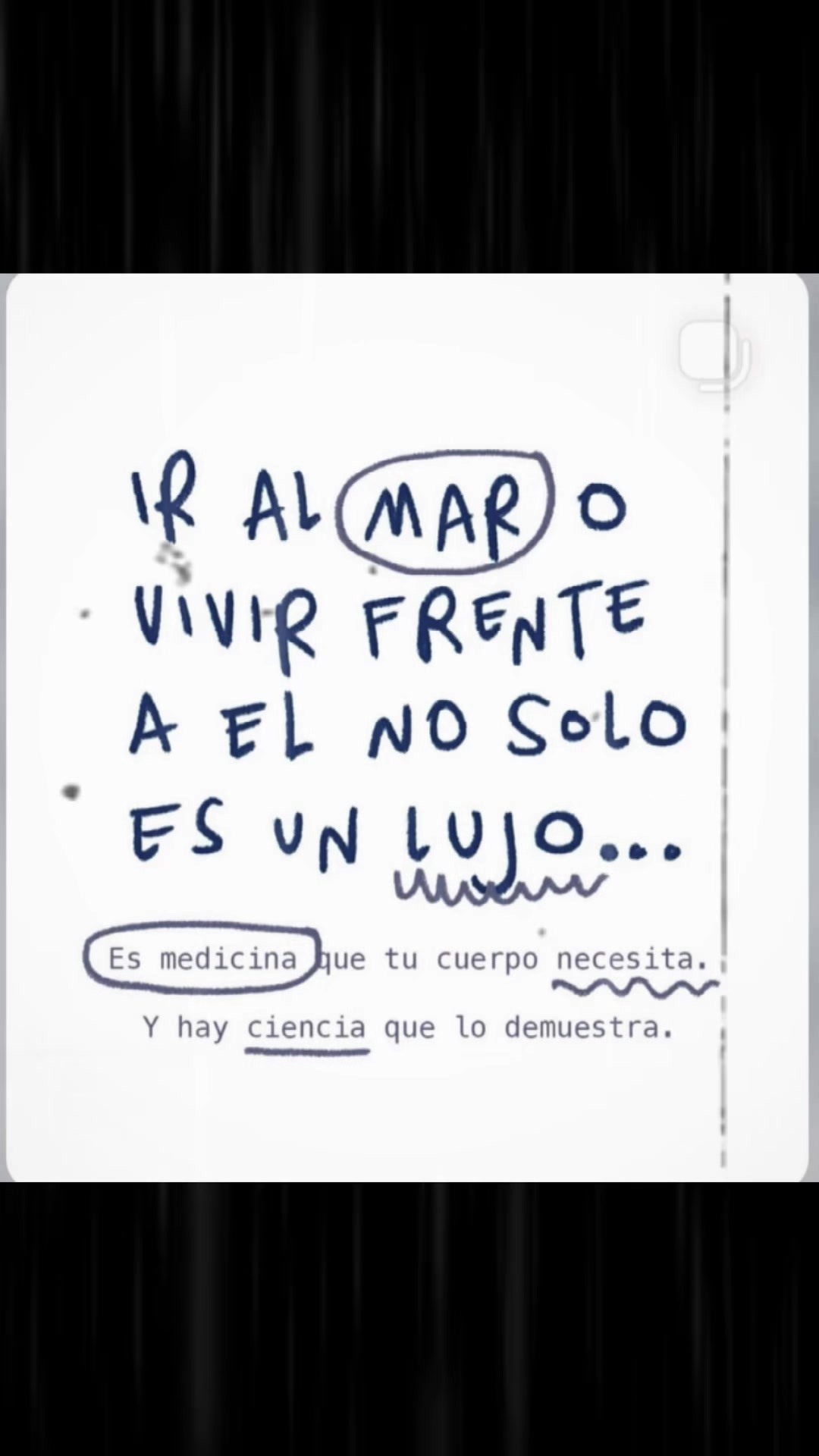 @Sassa Liliana