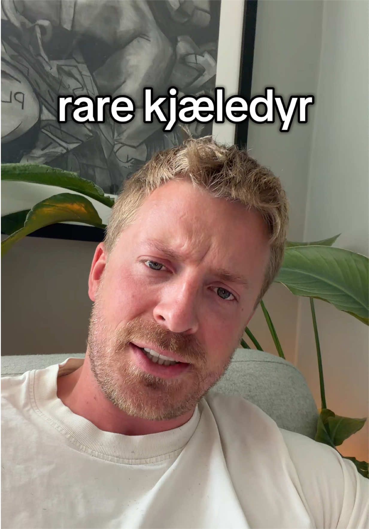@Luk