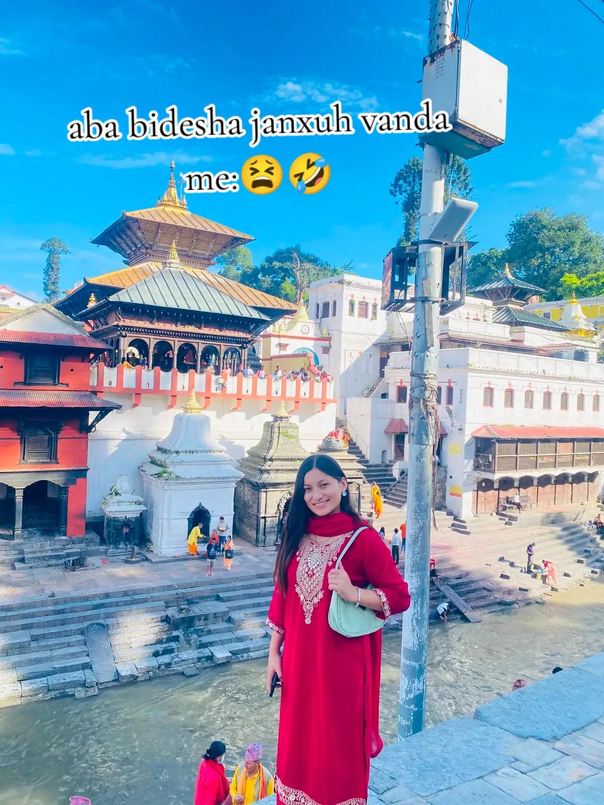 @Fu_-Chi🍃🏵️