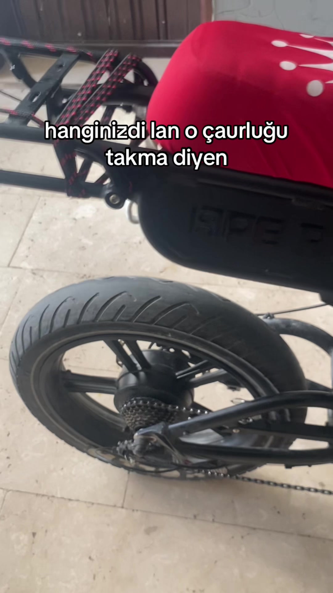 @wirellionyx