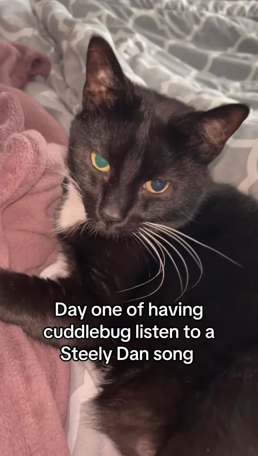 @CuddleBug