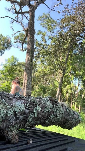 @FeralFLMama🌻 🧩