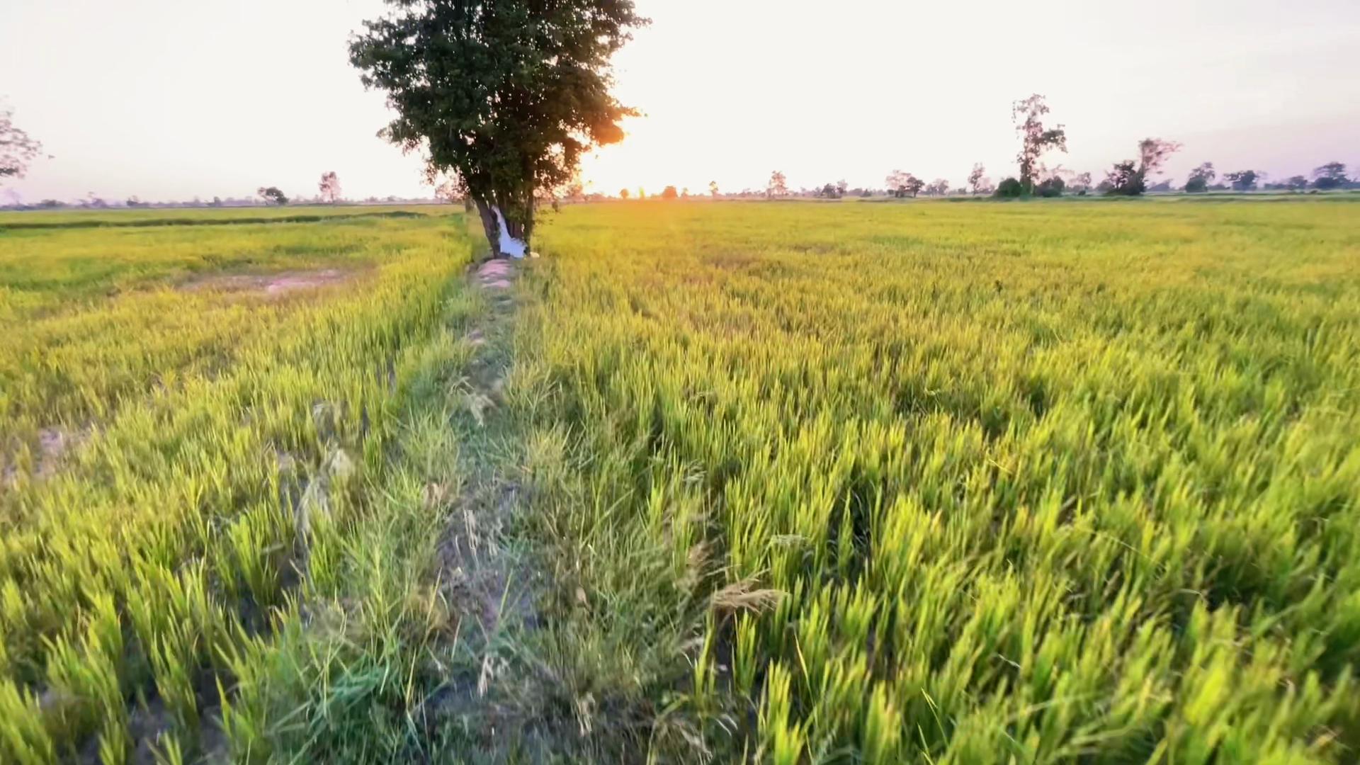 @HENG-ហេង៚ 🌾🌅💛