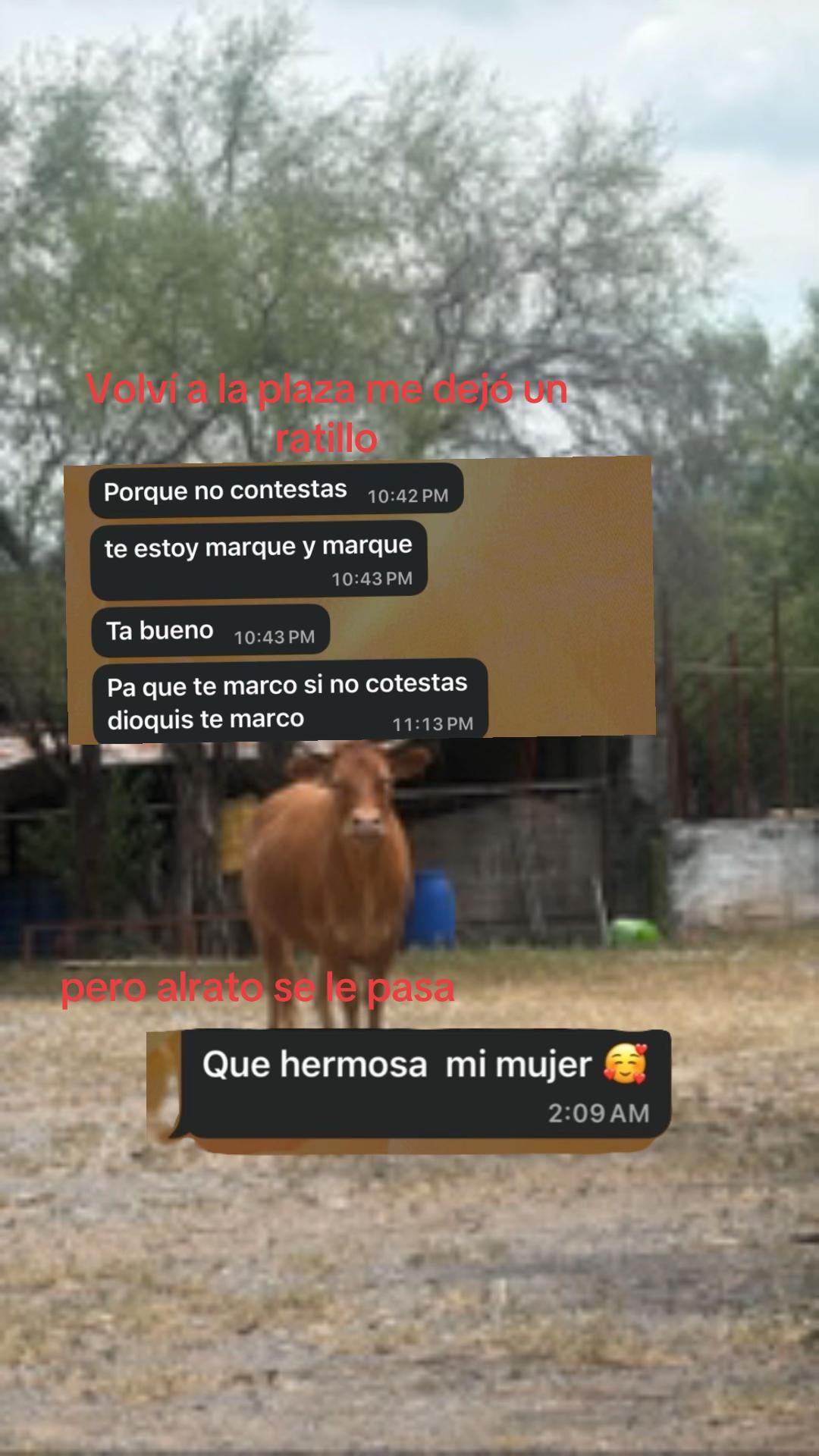 @irmitaaaaa