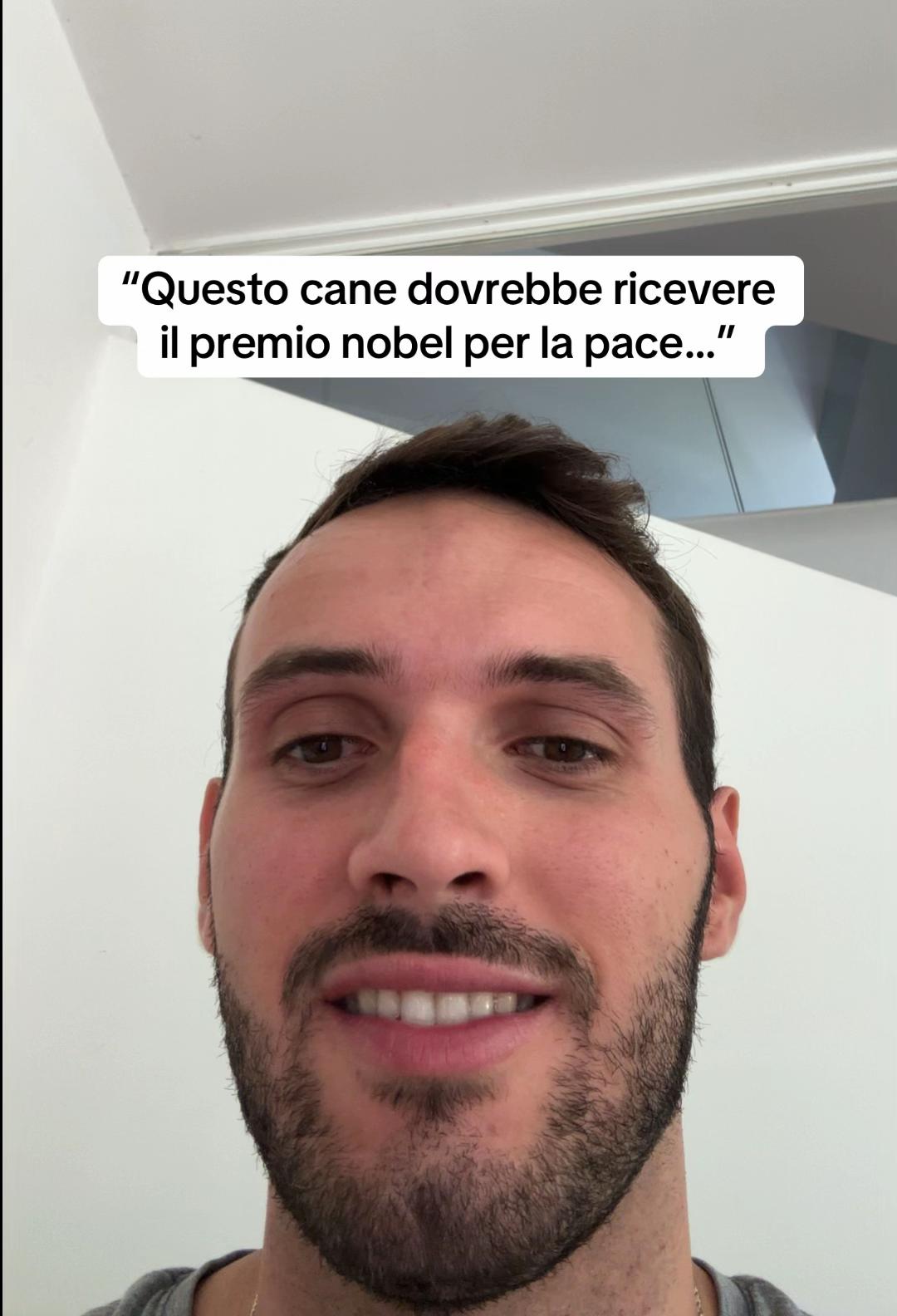@francescobaccegareal