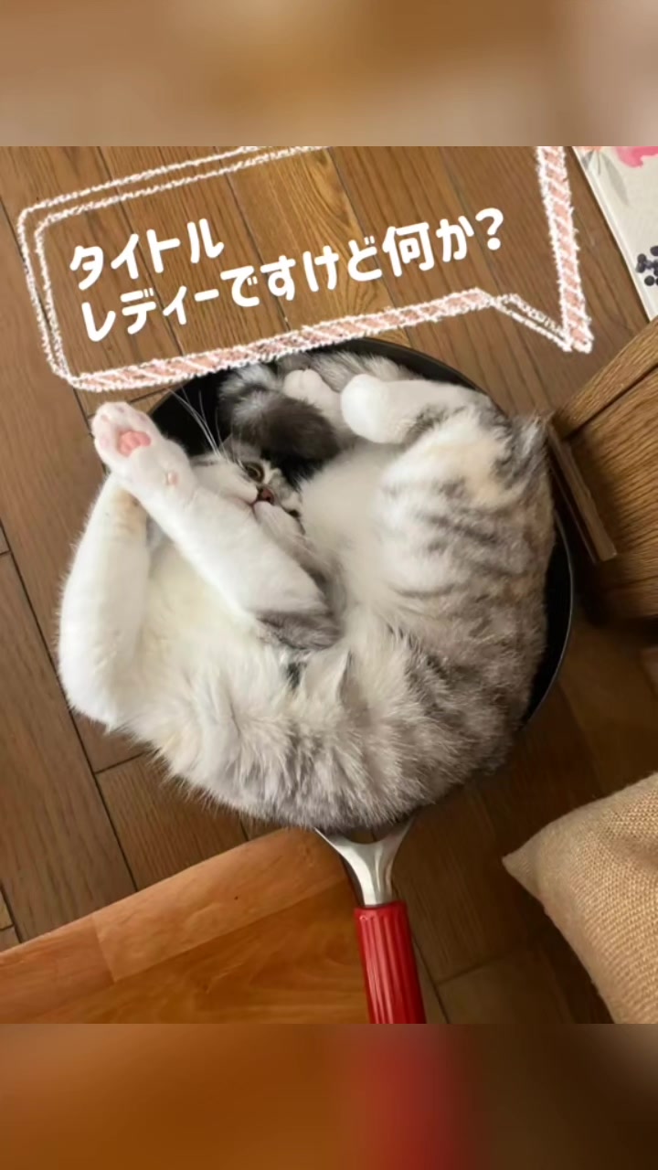 @くるくる8