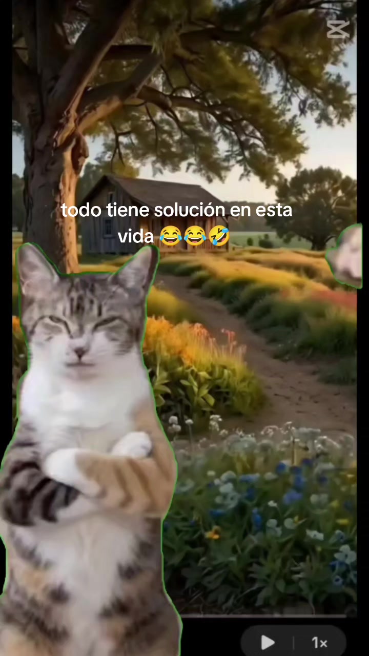 @AbiFlores
