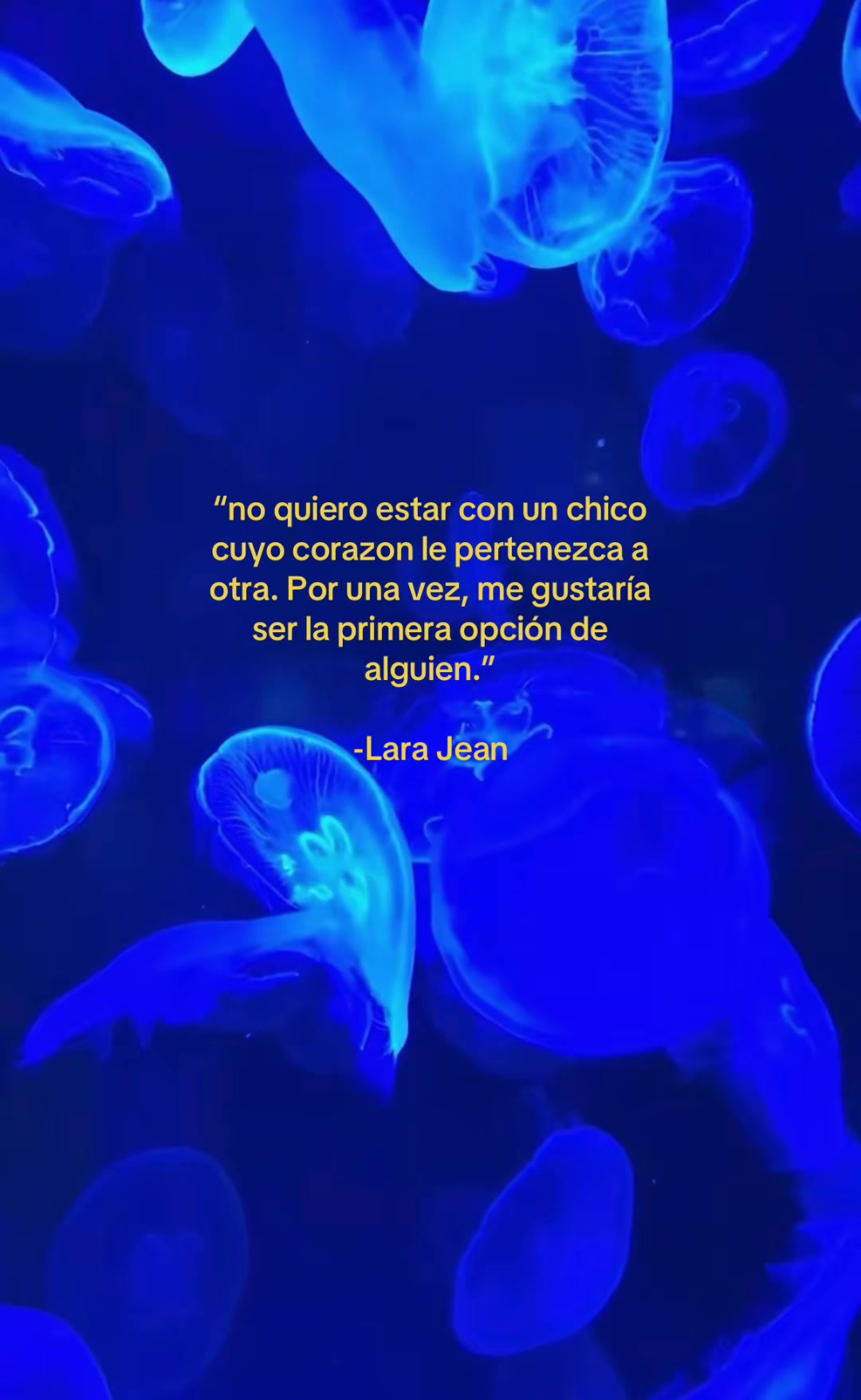 @viiooleettaa.003