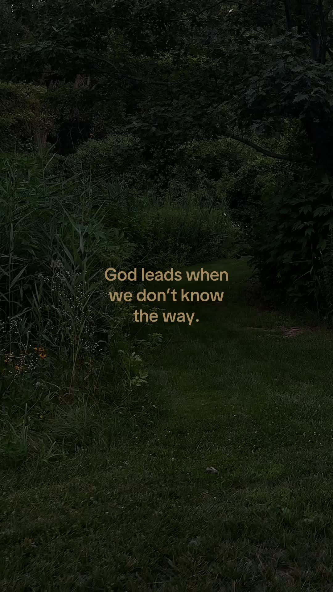@ℒ ᥫ᭡