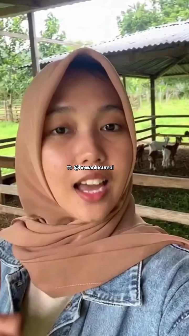 @Hewan Lucu🥰