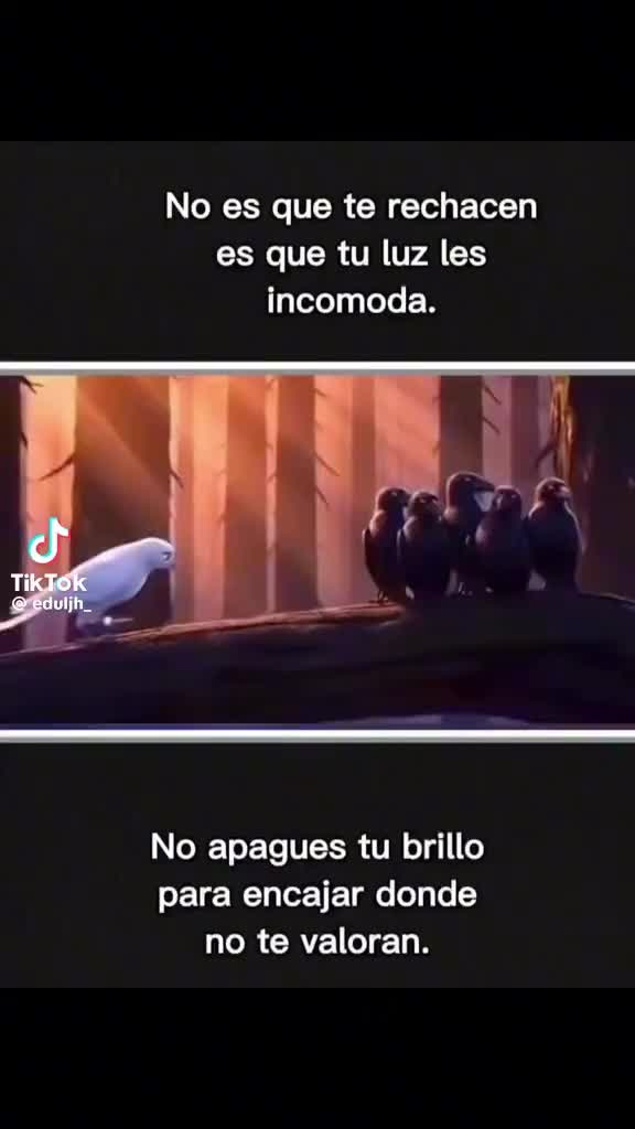 @👑🫡🫡🫡🫶CHICO BUENO🇬🇹🇲🇽