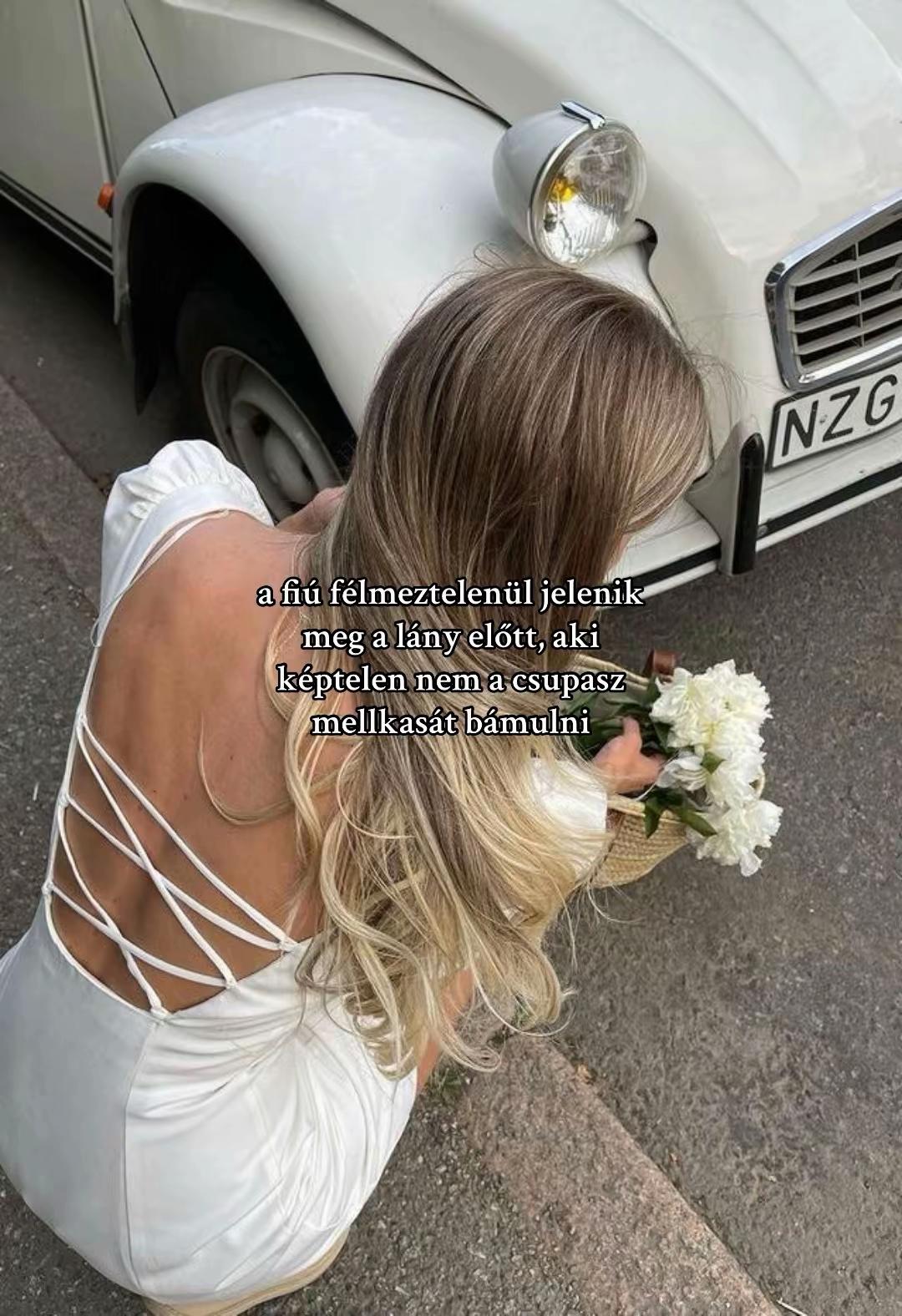 @ddorcii