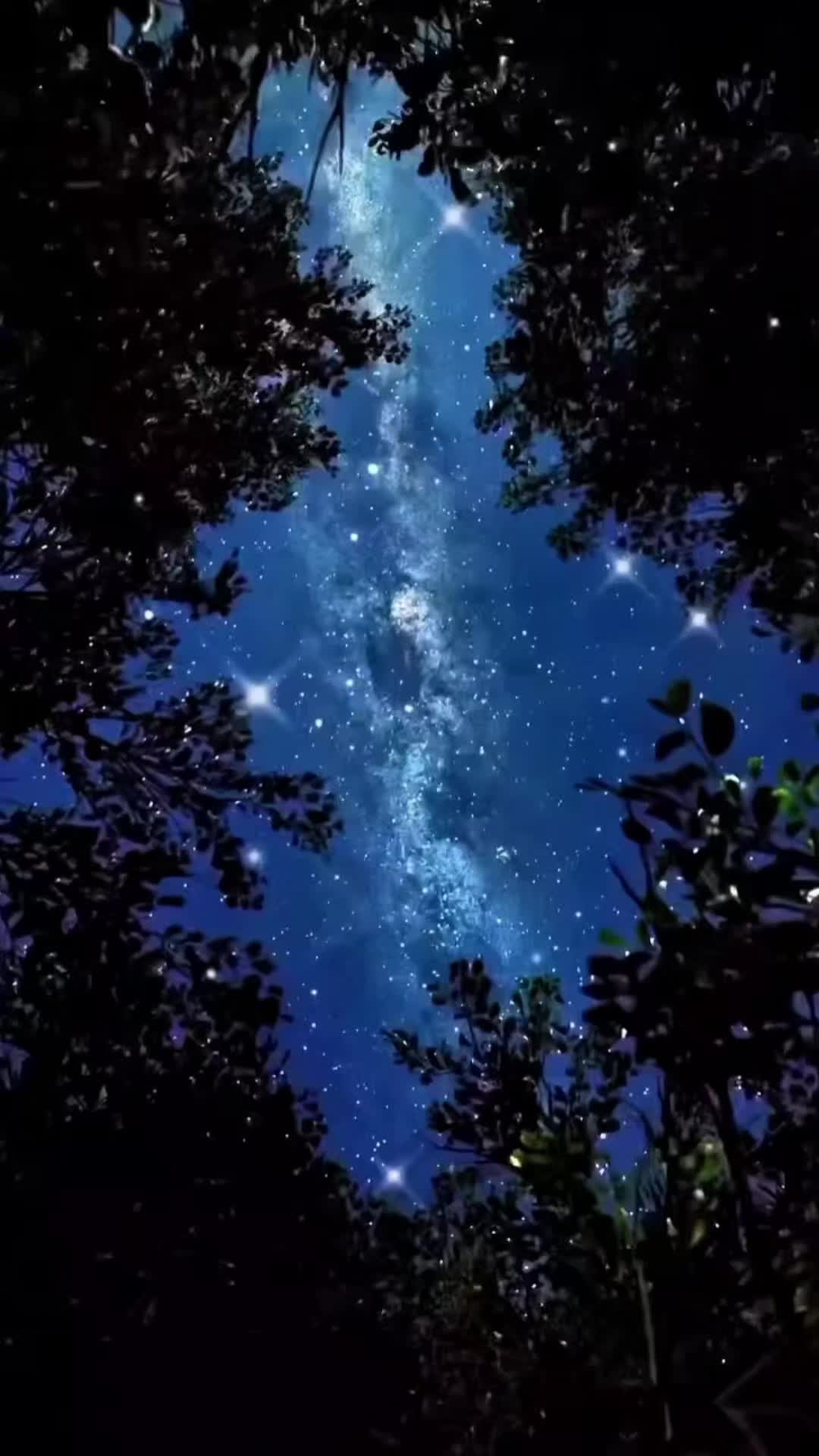 @Demis Tik Tok