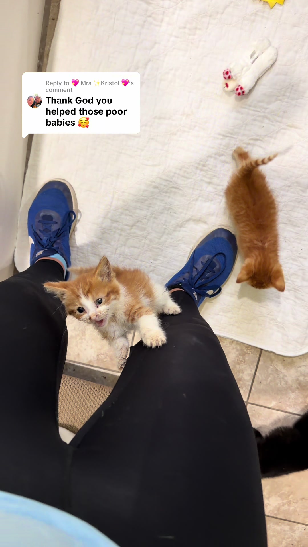@Happy Tails Animal Rescue